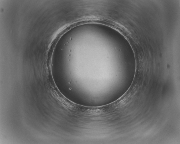 X0000069391168200605150935