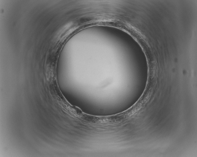 X0000069391169200605150935