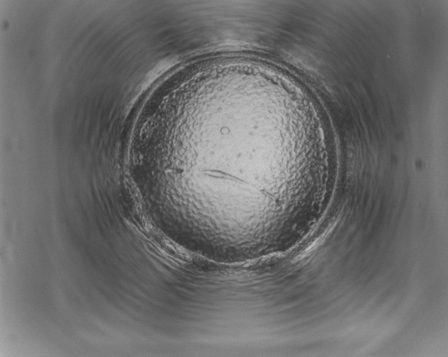 X0000069391170200605150935