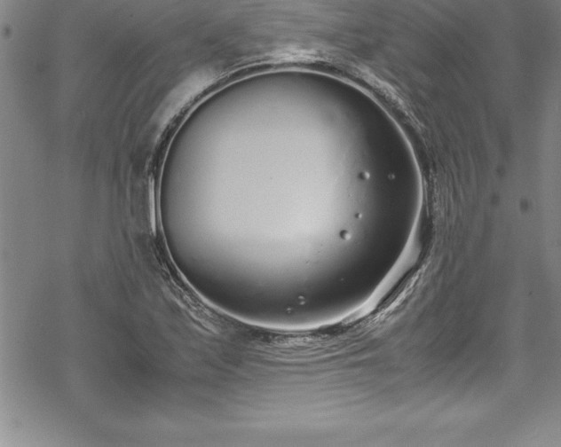 X0000069391171200605150935