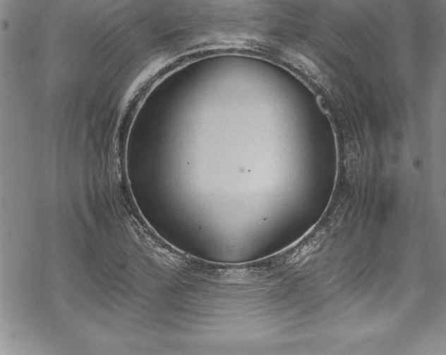 X0000069391172200605150935