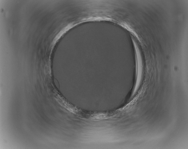 X0000069391173200605150935