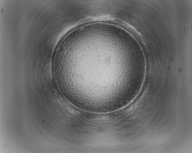 X0000069391174200605150935