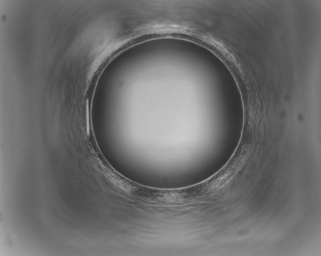 X0000069391175200605150935