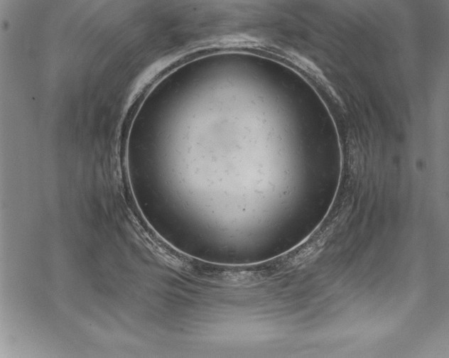 X0000069391176200605150935