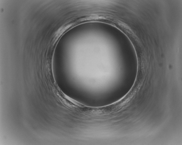 X0000069391177200605150935