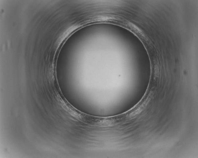 X0000069391178200605150935