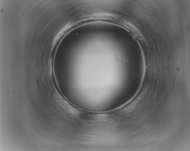 X0000069391180200605150935