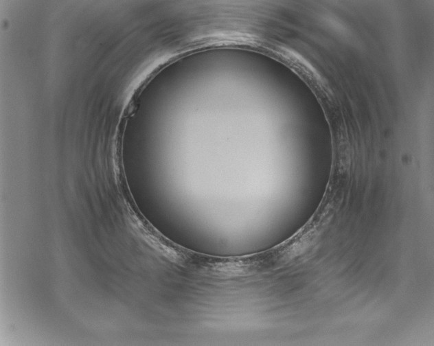 X0000069391182200605150935