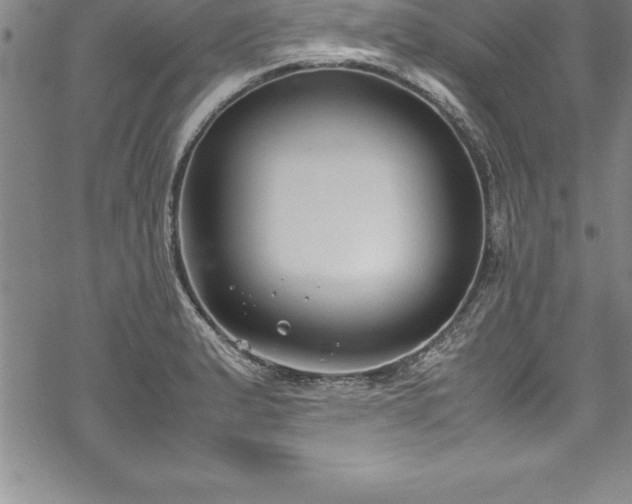 X0000069391183200605150935