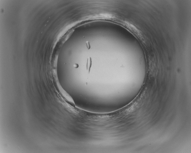 X0000069391184200605150935