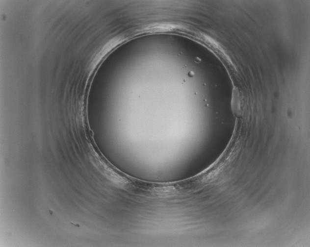 X0000069391186200605150935