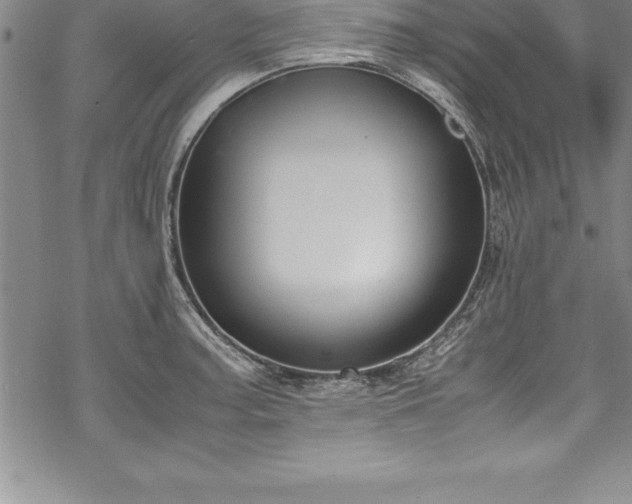 X0000069391187200605150935