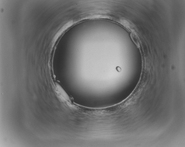 X0000069391189200605150935