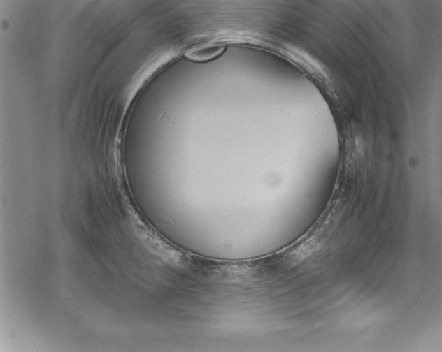 X0000069391190200605150935