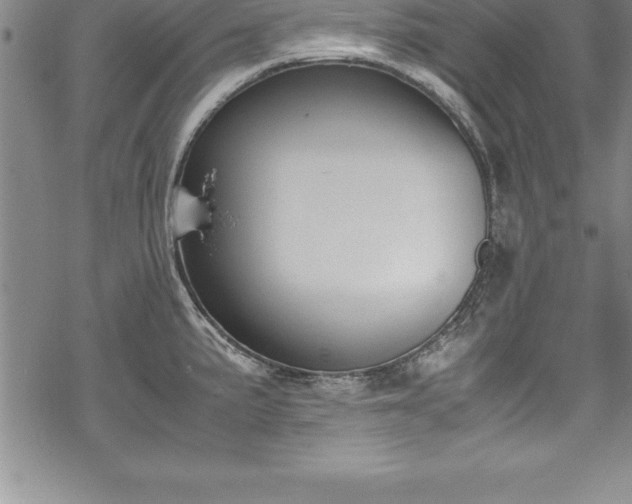 X0000069391191200605150935