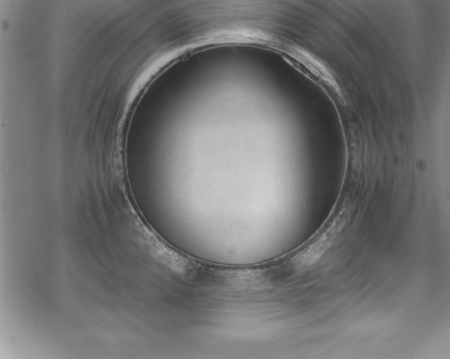 X0000069391192200605150935