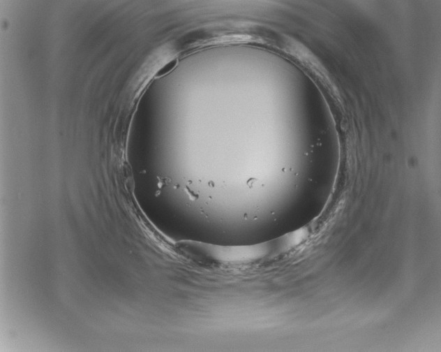 X0000069391193200605150935