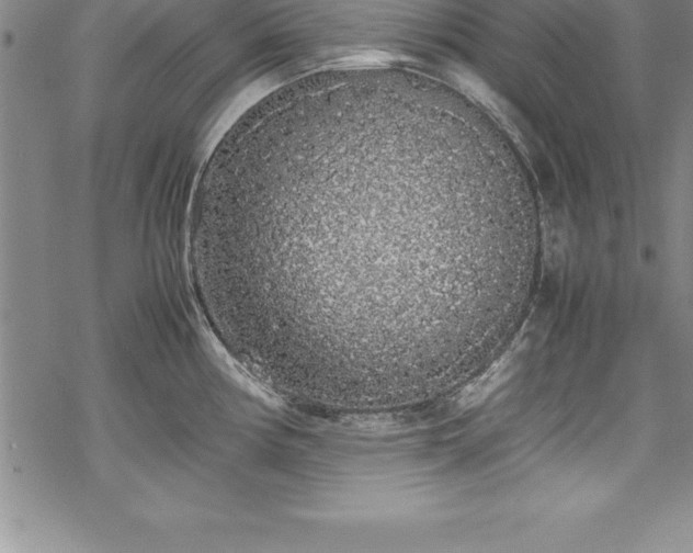 X0000069391194200605150935