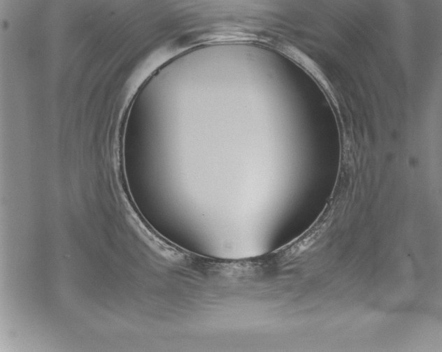 X0000069391195200605150935