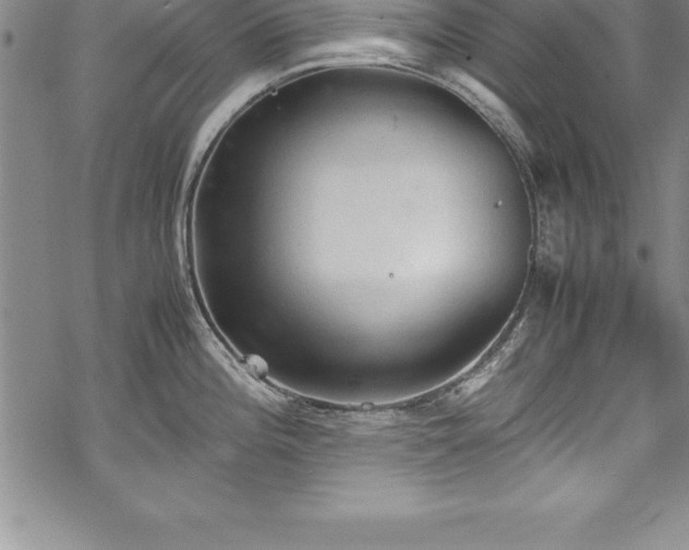 X0000069391196200605150935