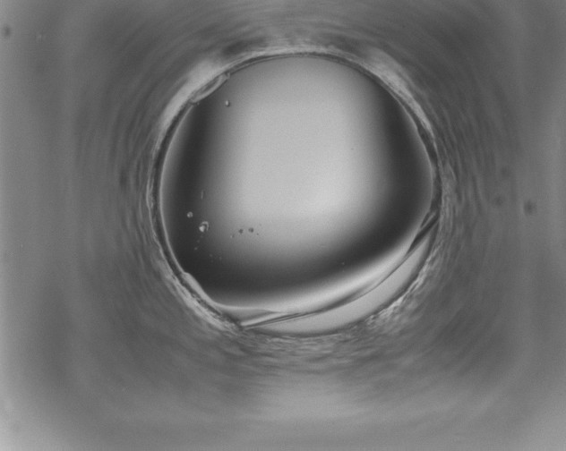 X0000069391197200605150935