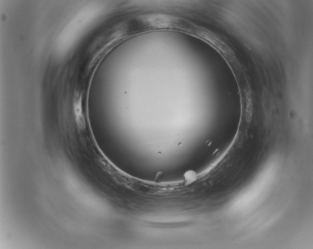 X0000069391198200605150935