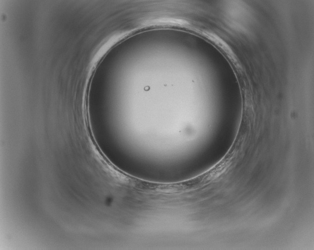 X0000069391199200605150935