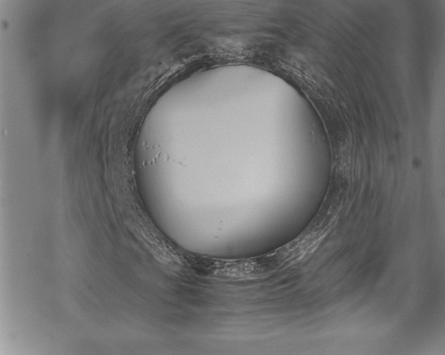 X0000069391201200605150934