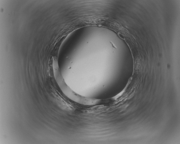 X0000069391202200605150934