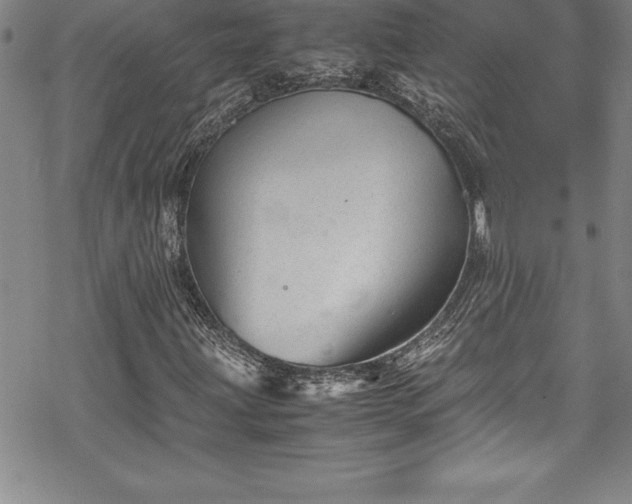 X0000069391203200605150934