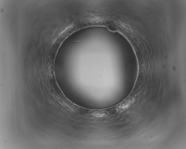 X0000069391205200605150934