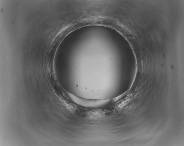 X0000069391206200605150934