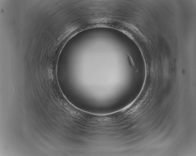 X0000069391209200605150934