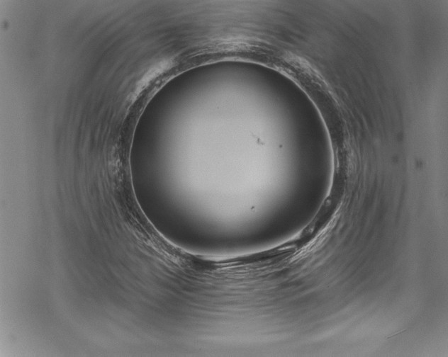 X0000069391210200605150934