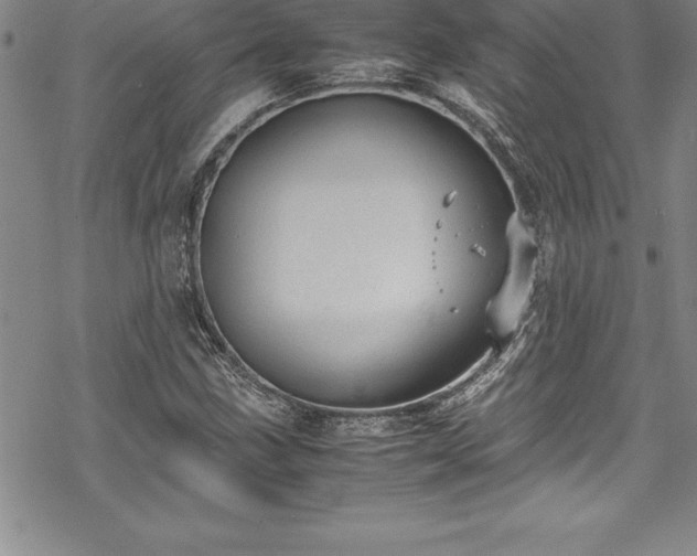 X0000069391211200605150934