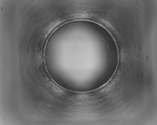 X0000069391212200605150934