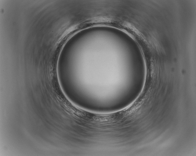 X0000069391213200605150934