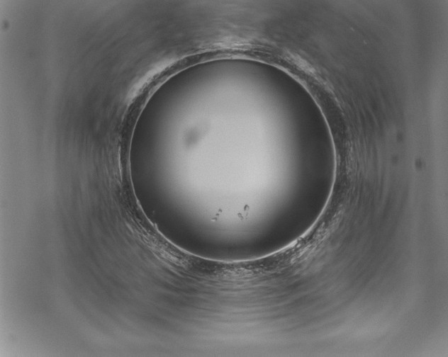 X0000069391214200605150934