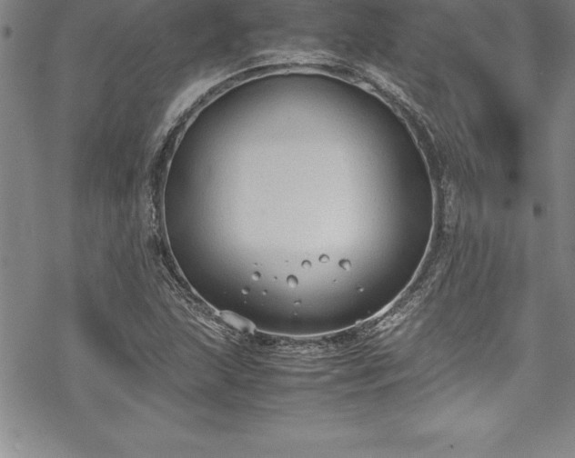 X0000069391215200605150934