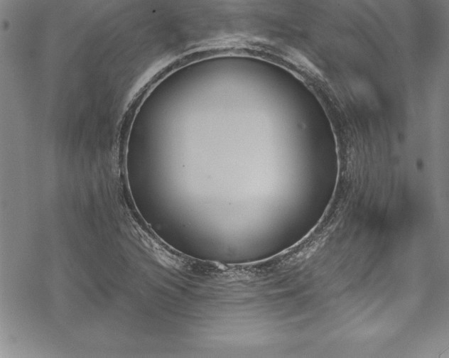 X0000069391216200605150934