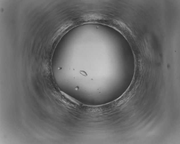 X0000069391217200605150934