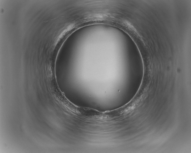 X0000069391218200605150934