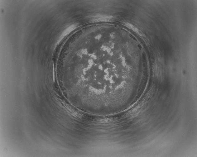 X0000069391219200605150934