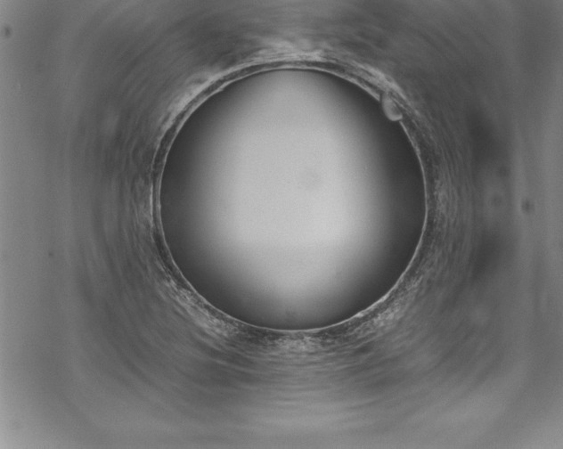 X0000069391220200605150935