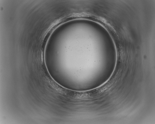 X0000069391221200605150935