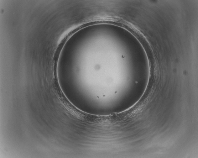 X0000069391222200605150935