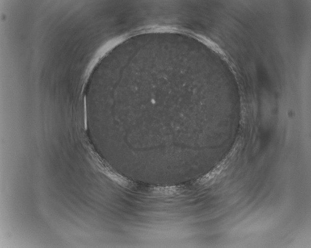 X0000069391223200605150935