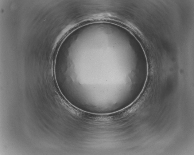 X0000069391224200605150935