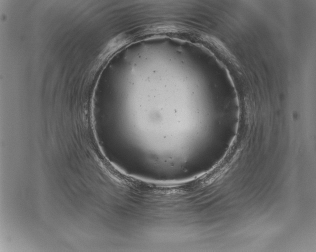 X0000069391225200605150935